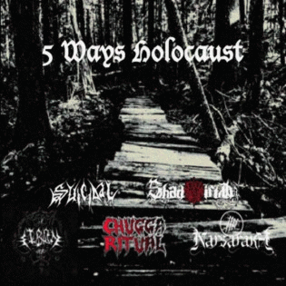 Shadowmirth : 5 Ways Holocaust